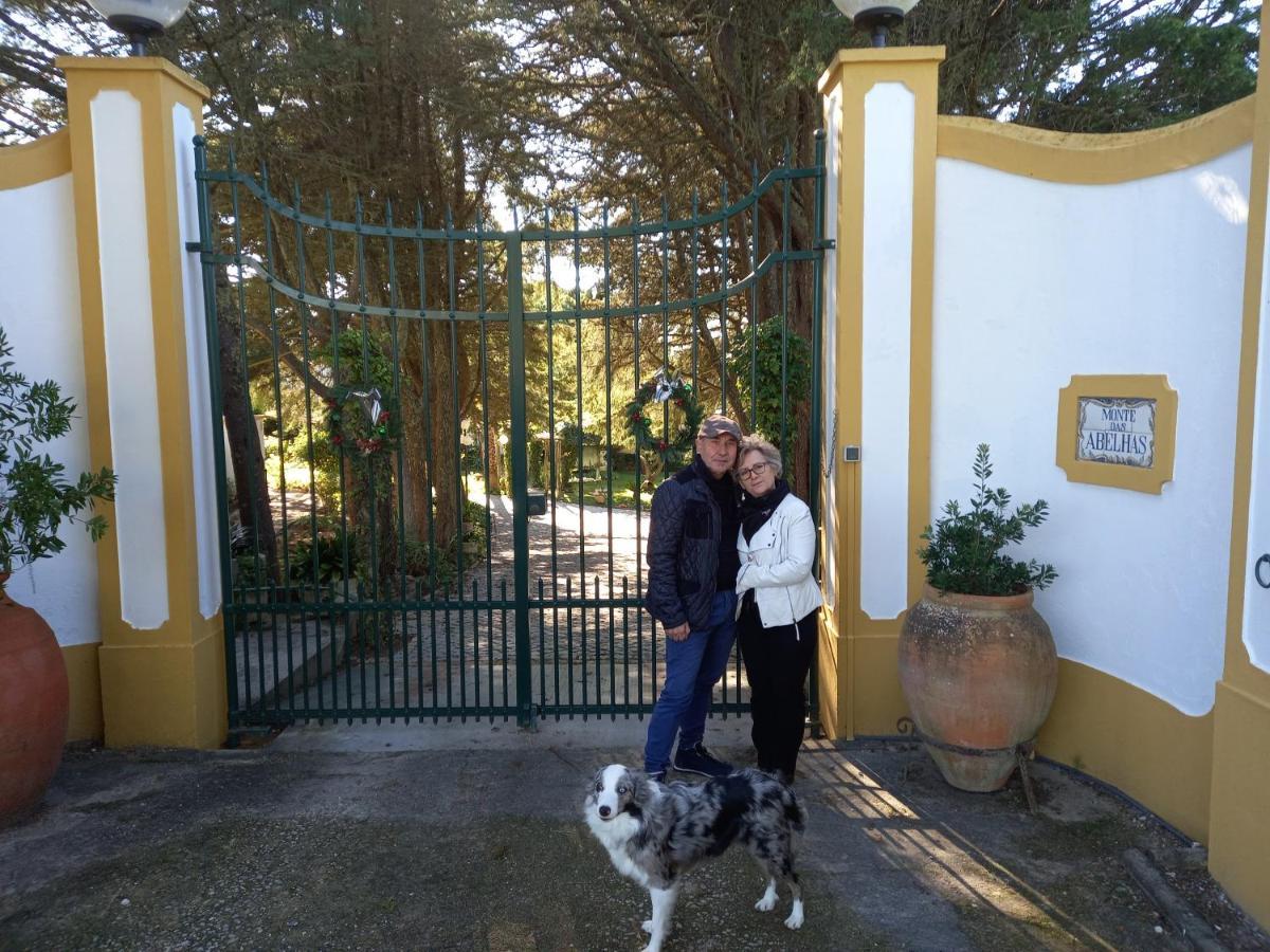QUINTA DO MONTE DAS ABELHAS - La Vénus de Lisbonne Calhandriz Esterno foto