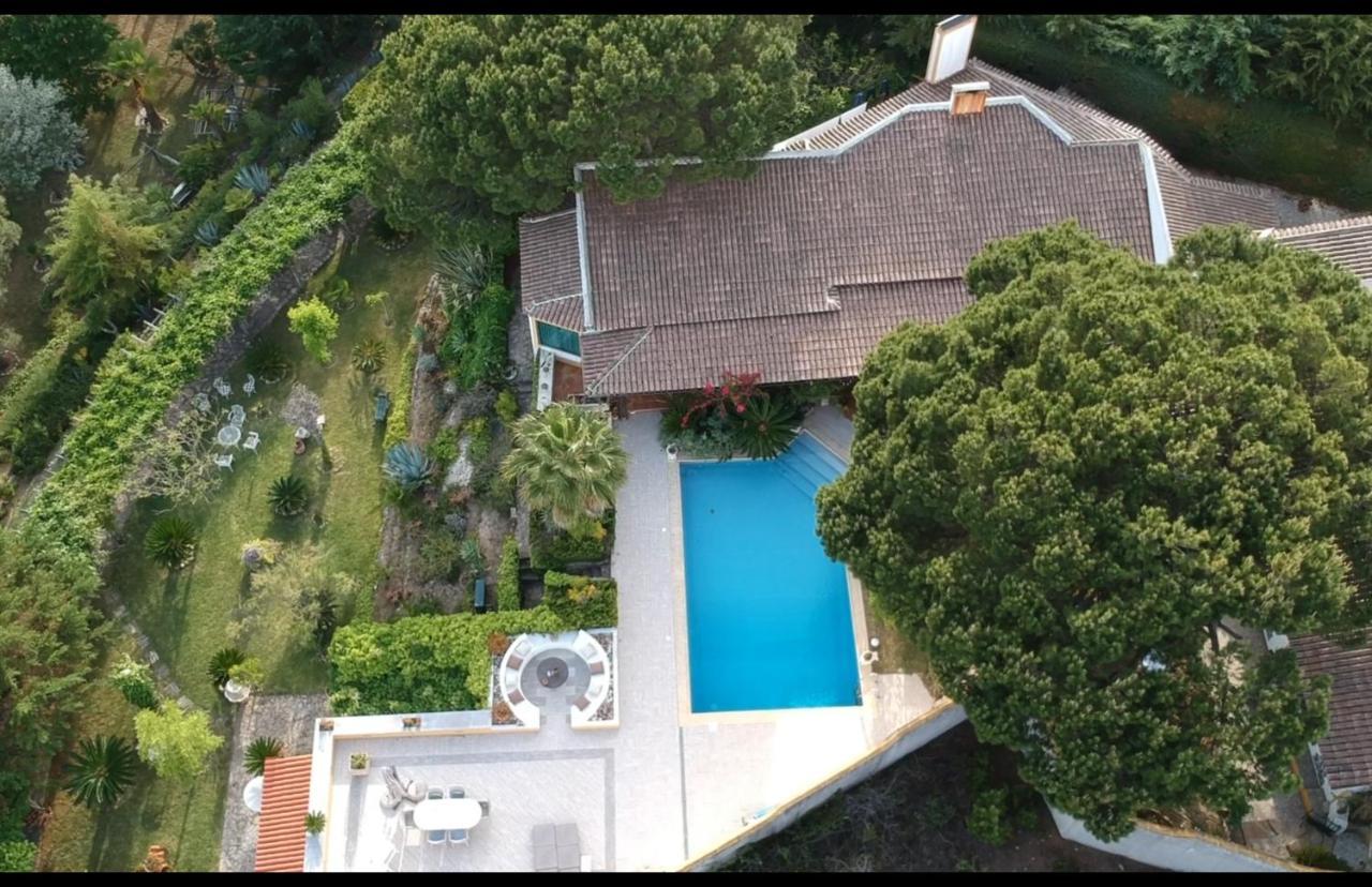 QUINTA DO MONTE DAS ABELHAS - La Vénus de Lisbonne Calhandriz Esterno foto
