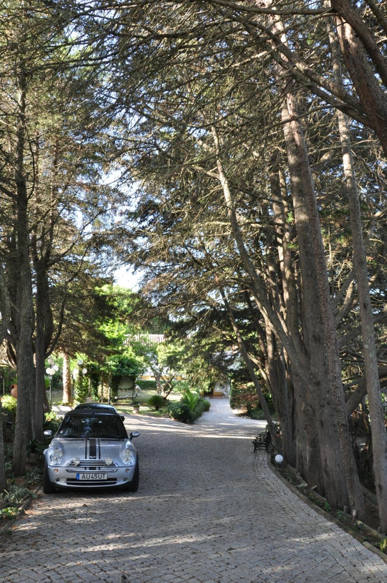 QUINTA DO MONTE DAS ABELHAS - La Vénus de Lisbonne Calhandriz Esterno foto
